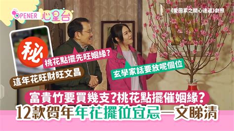 富貴竹幾多支好|2024龍年風水｜富貴竹買幾支？桃花要點擺？一文睇 